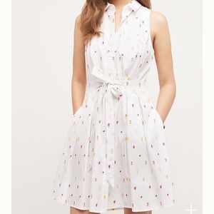 Anthropologie Paleta Shirtdress